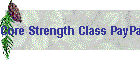 Core Strength Class PayPal